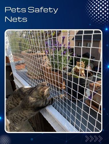 Pets Safety Nets in Chennai