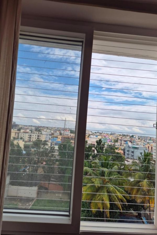 Transparent Grill for Windows