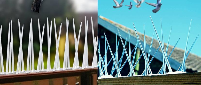 Bird Control Spikes