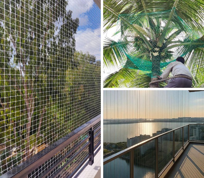 Coconut Tree Safety Nets